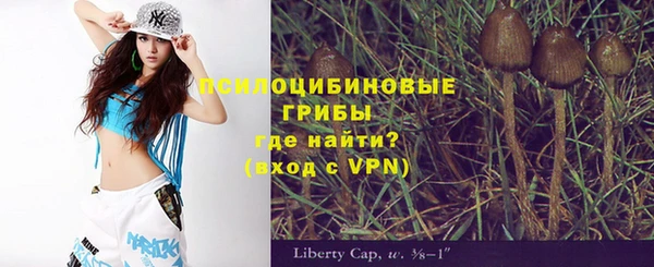 каннабис Гусиноозёрск