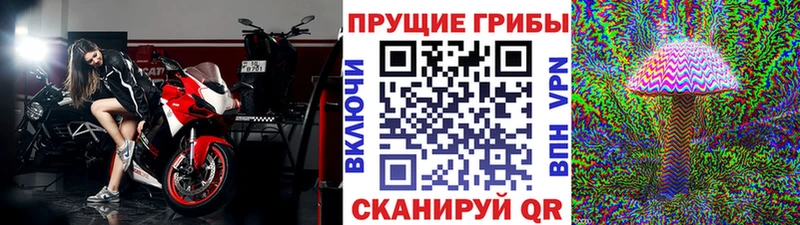 Купить  Карасук  Псилоцибиновые грибы Magic Shrooms 
